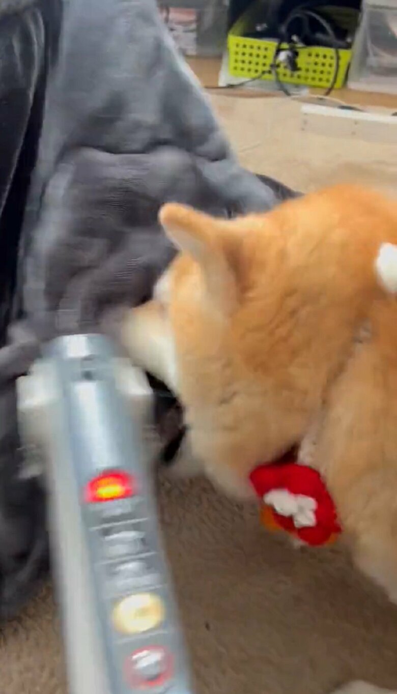 「アタシだけを吸って！」と