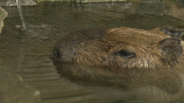 38℃に設定　いい湯加減♪