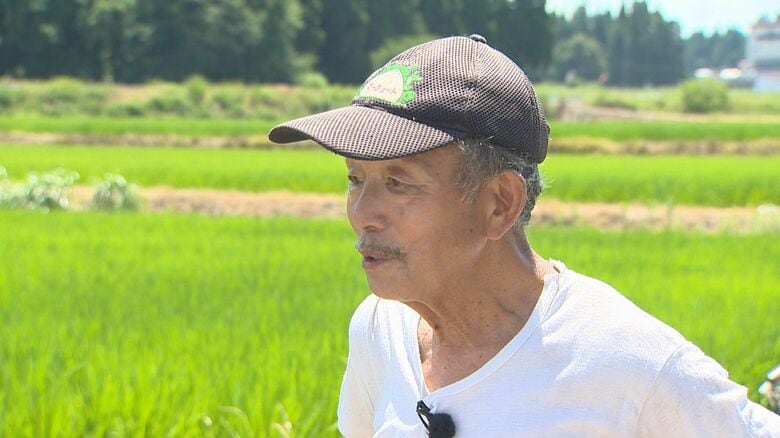 コメ農家　堀井修さん