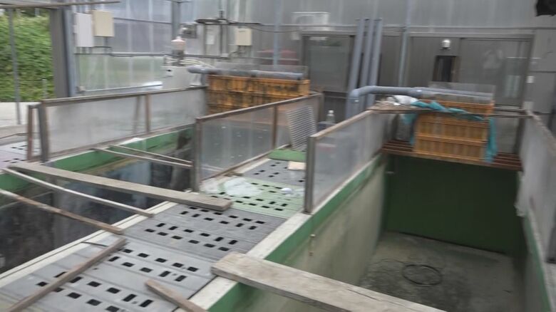 越冬ハウスの内部