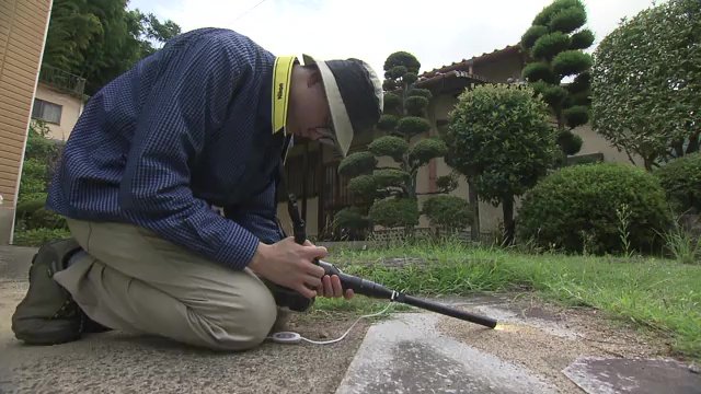 虫の目線に？昆虫には敬意・労わり・尊敬の気持ちを持って