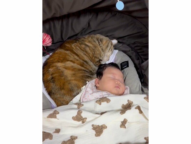 提供：エルモとみみりんさん