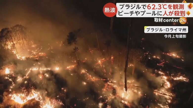 ブラジル北部のロライマ州で発生した山火事の様子