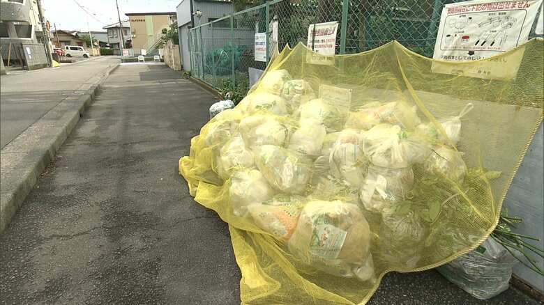 静岡市ではプラスチックの分別収集をしていない
