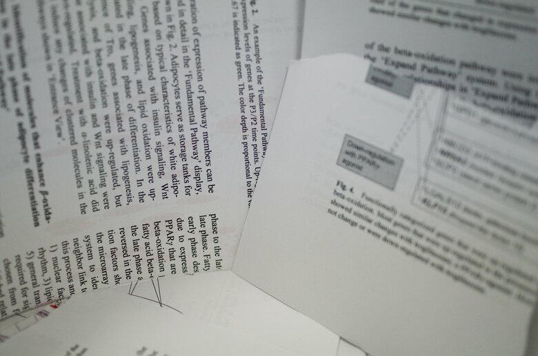 論文など一次情報を得ることが大事（画像：イメージ）