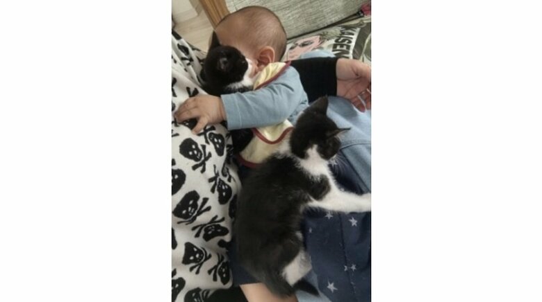 蓮慈くんと2匹は仲良し