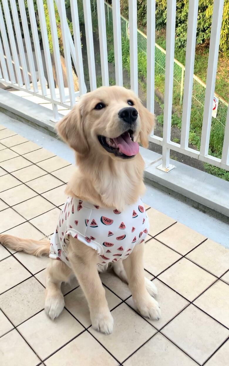 提供：エマさん