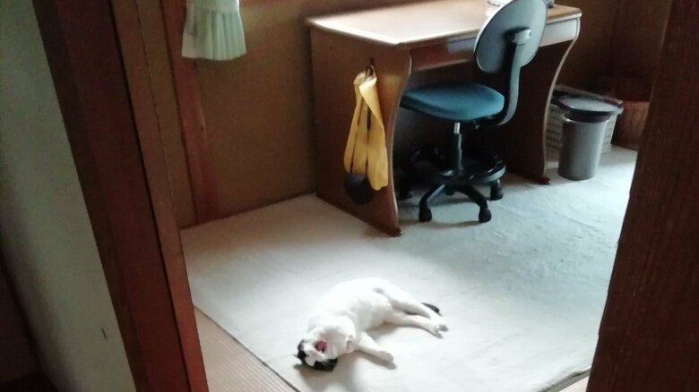 気が付けばやっぱり息子さんの部屋に