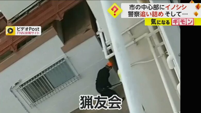 イノシシを追い詰めた猟友会の人