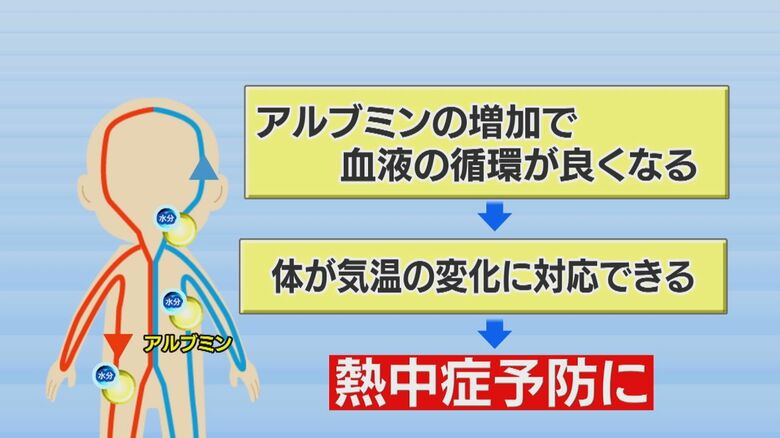 牛乳が熱中症予防に良い理由