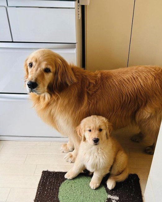 提供：efrinmanさん