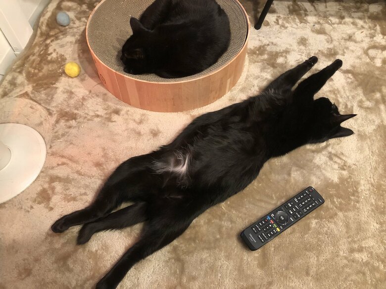 こんなに大きくなりました