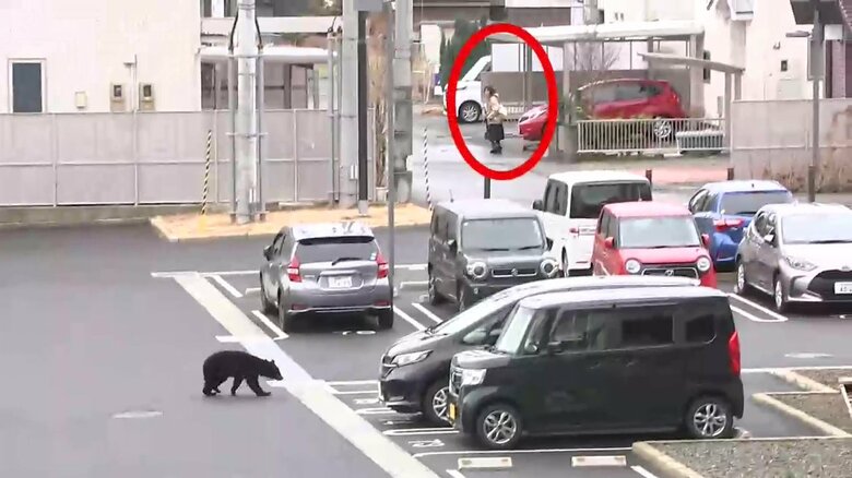 クマの近くに住民の姿が