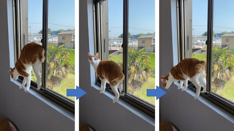 うまく逆立ちできないことも…