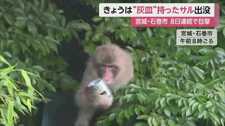 缶を大事そうに抱える（28日午前）