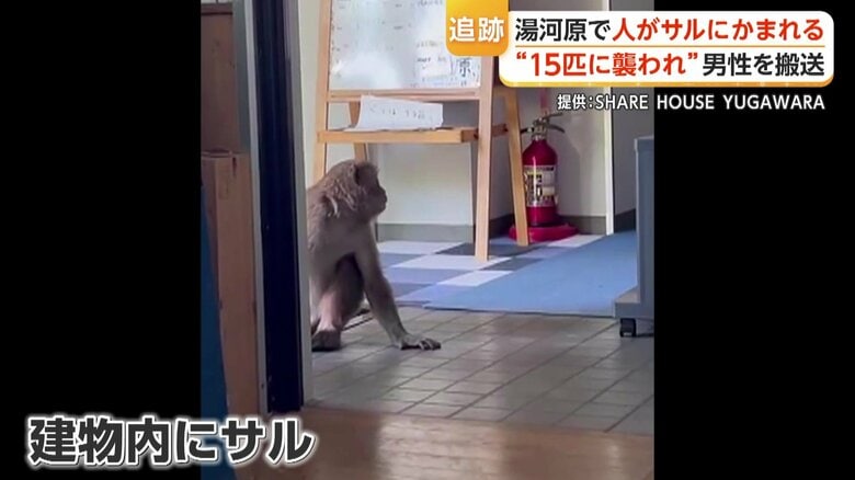 シェアハウスの建物内に入り込んだサル