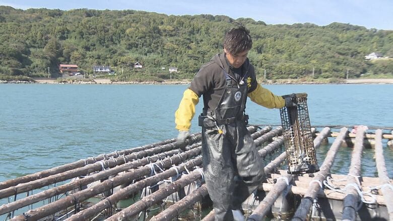 作業する古藤海星さん（21）