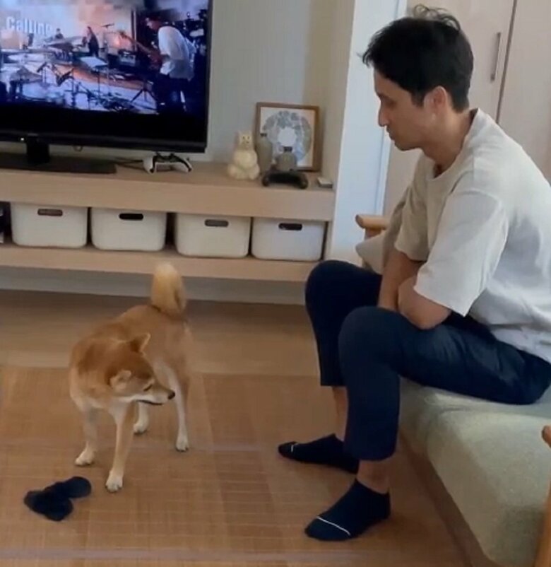 飼い主さんの旦那さんとの心理戦　すずちゃんの足元には盗んだ靴下がある