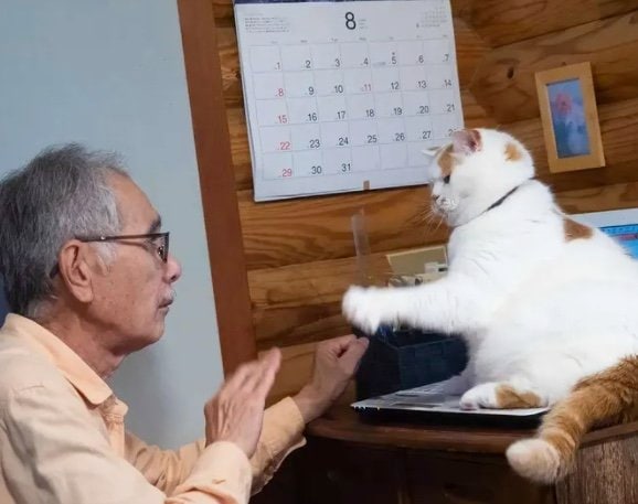 パソコンを触らせてくれないからだった（提供：MARCOさん）