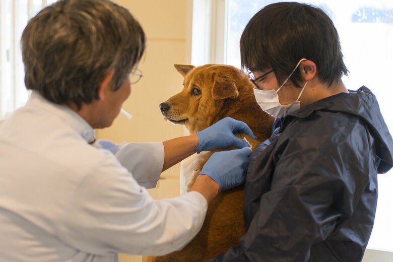 ピースワンコの運営費用の半分以上はGCFから