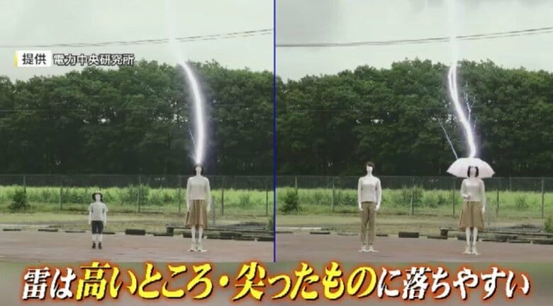 雷は高いところやとがったものに落ちやすい(提供：電力中央研究所)