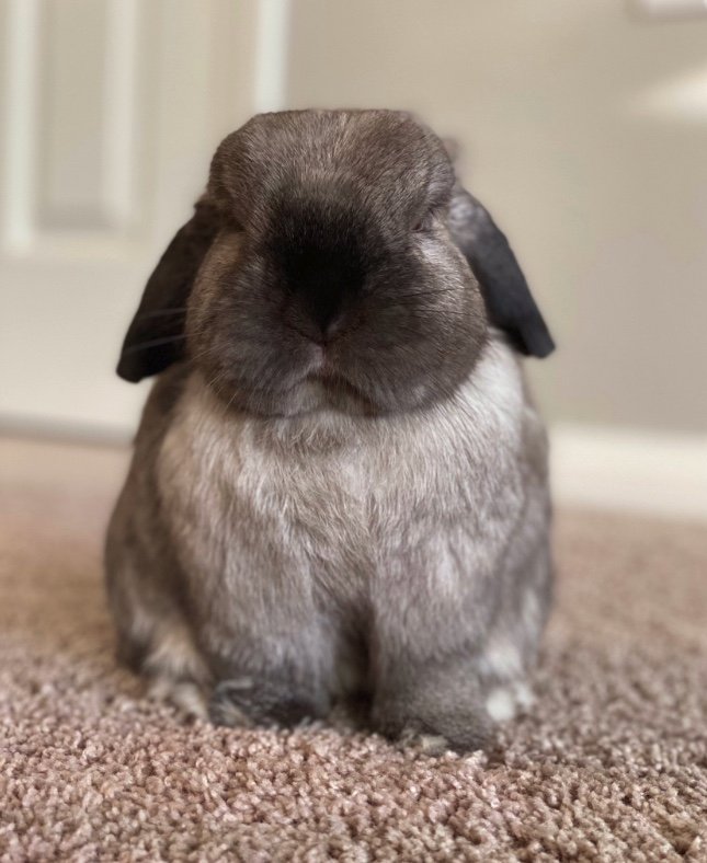 提供：和泉ユタカさん