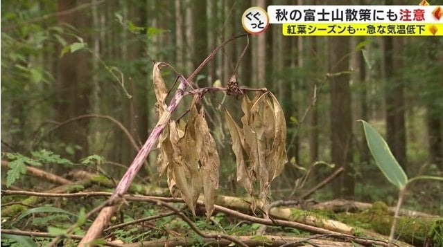 日暮れが早い秋の山