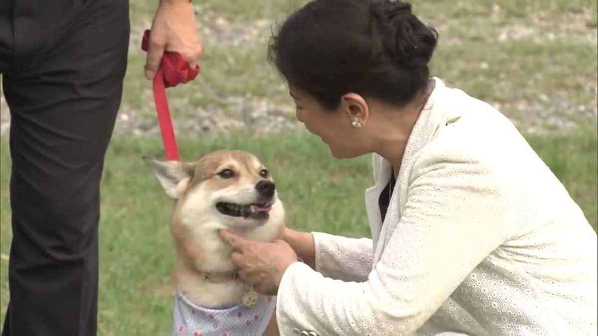 あふれる動物愛 天皇ご一家と犬猫物語