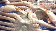 5年以上「越前がに」に水ガニ混入　ふるさと納税の返礼品で国が原因究明と再発防止策実施を越前町に命じる　カニ関連返礼品中止で納税額に6億円の影響か　福井