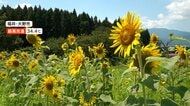3連休中日は各地で夏本番　関東から西は厳しい暑さ　110カ所以上で猛暑日