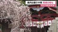 福島県内は曇りや雨模様　海上や浜通り・中通りでは強風に注意　いわき市でシダレザクラが見ごろに