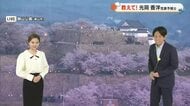 【光岡気象予報士のお天気解説】４月３日（金）ポイント「春らんまんも…花粉と気温差注意」【岡山・香川】
