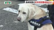 麻薬探知犬も参加し出動式 密輸対策で税関が年末特別警戒へ クルーズ船の増加で海外客の往来も注視