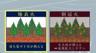 大槌町山林火災　「地表火」の被害が大半で「樹冠火」は一部　岩手県