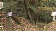 シカ捕獲作業中クマに襲われる　男性が頭部などけが　埼玉・秩父市