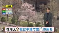 【北海道の天気 24日(金)】花冷え…夜はオホーツク海側で雪の所も！週末は広く晴れ　最新サクラ情報も
