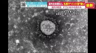 北海道内3例目「インド型」疑い…道外往来歴なく
