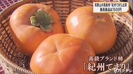 最高級品は”1500円”　和歌山の高級柿「紀州てまり」の出荷始ま…
