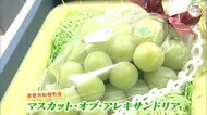 エメラルドグリーンの大粒の実 果物の女王「マスカット・オブ・アレキサンドリア」初入荷【岡山・岡山市】