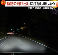 【独自】「心臓に悪い」予想外の遭遇…突然飛び出す動物に注意しましょう！避けきれず修理費12万円の痛い出費も