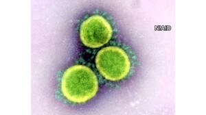 札幌市1人死亡 47人感染…2週間ぶり50人下回る 新規クラスターもなし