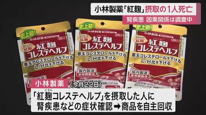 コウ様 さし 状態確認用2