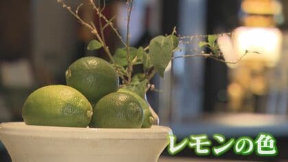  “グリーンレモン”   特産品を目指して　エリアの耕作放棄地を活用　有名チョコブランドとコラボも　店名に込められた思いとは？ 【福岡発】