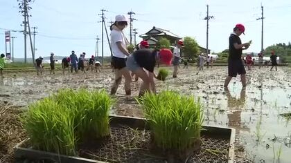 泥だらけになりながら笑顔で挑戦　丸森小学校の児童が昔ながらの方法でコシヒカリの田植えを体験〈宮城〉