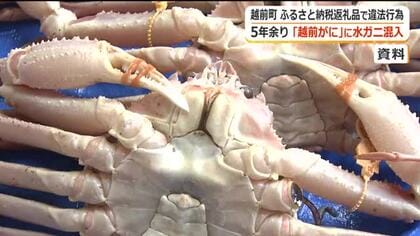 5年余り「越前がに」に水ガニ混入　ふるさと納税の返礼品で国が原因究明と再発防止策実施を越前町に命じる　カニ関連返礼品中止で納税額に6億円の影響か　福井