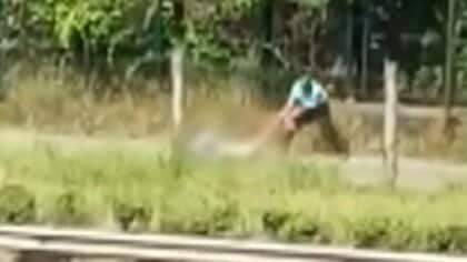 カバン強奪し逃走する一部始終…マニラで日本人襲撃相次ぐ　事件直前には被害者のあとをつける姿も確認