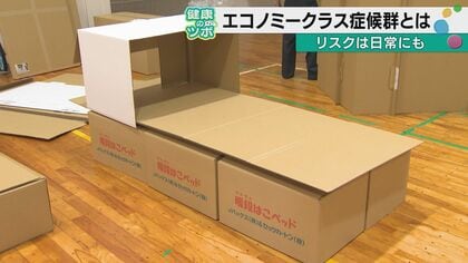 熊本地震で車中泊の避難者に伝えたい　足を動かして、水を飲んで。それだけでも「突然死」のリスクは下げられる　能登半島地震でも被災者ケアにあたった専門家が明かす「段ボールベッドが血栓を防ぐ」意外なメカニズム