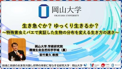 【岡山大学】生き急ぐか？ ゆっくり生きるか？～特殊害虫ミバエで実証した生物の分布を変える生き方の速さ～