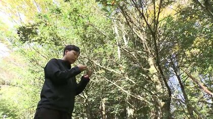 川内村の“森の香り”をジンに閉じ込めて　自然や人に魅せられ蒸留所をはじめた男性の挑戦【福島発】