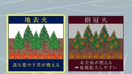 大槌町山林火災　「地表火」の被害が大半で「樹冠火」は一部　岩手県